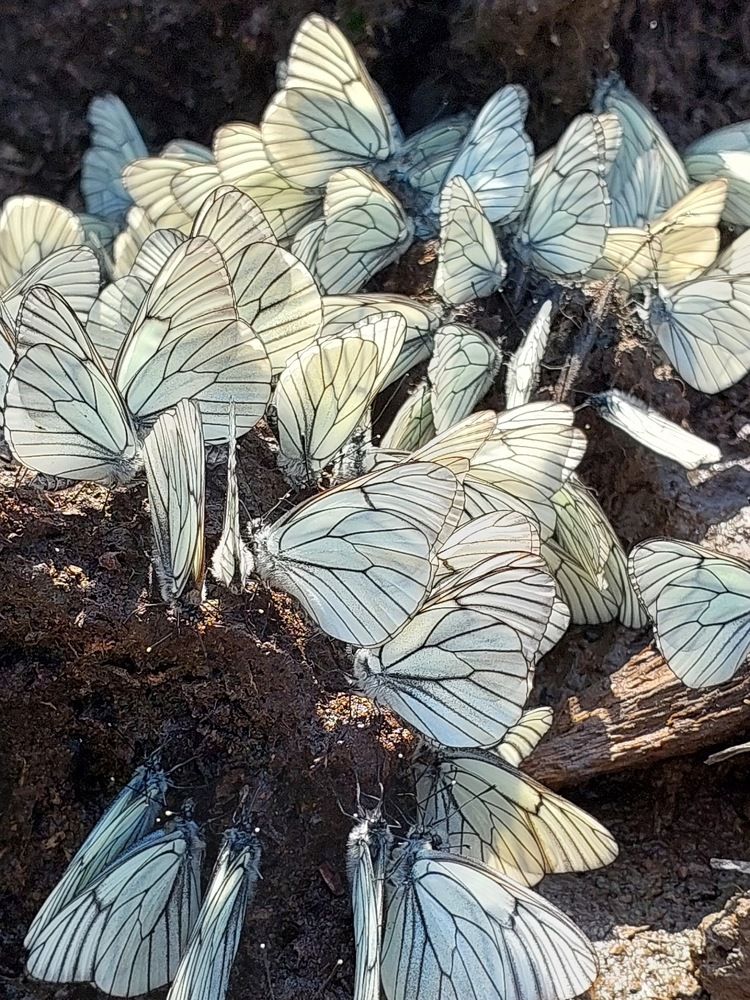 Photograph by Степан Павловский