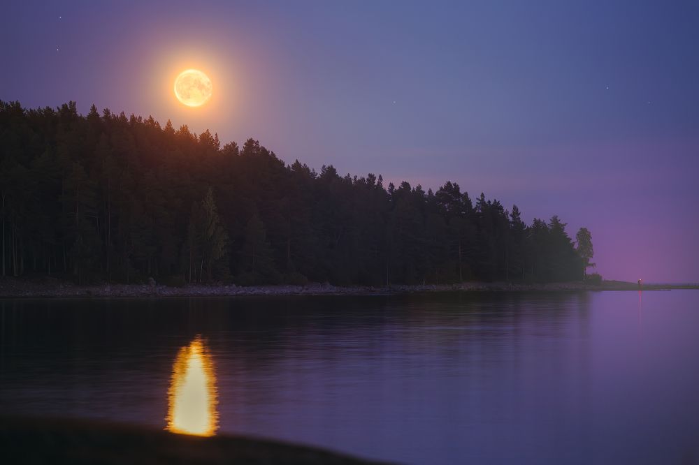 Photograph by Vadim Borkin