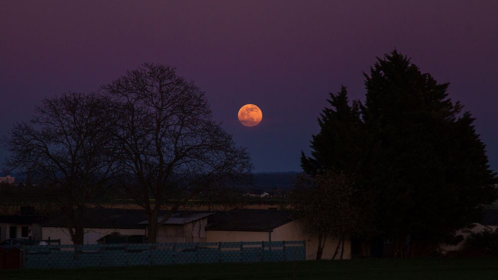 Photograph by Элис