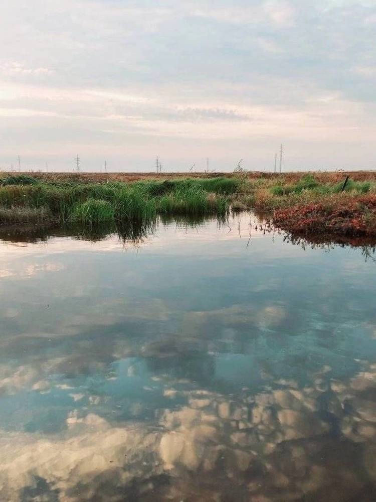 Photograph by Степан Павловский