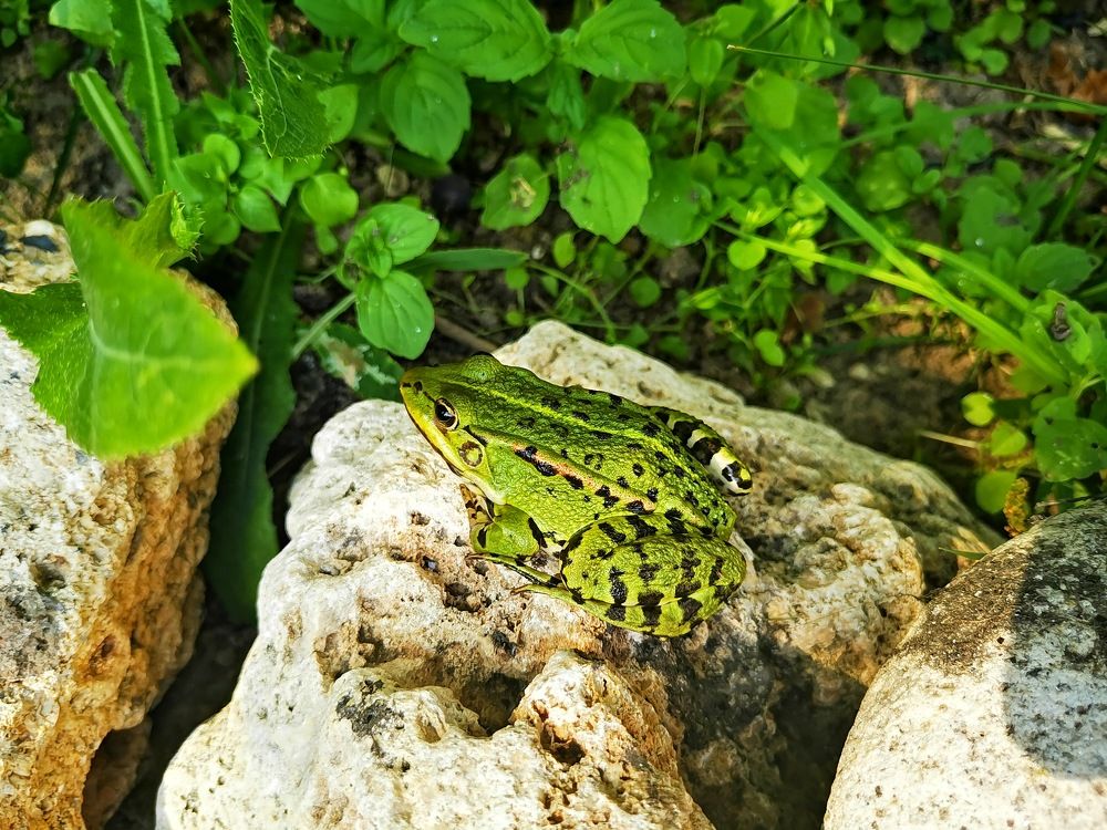 Photograph by Ekaterina Fadeeva