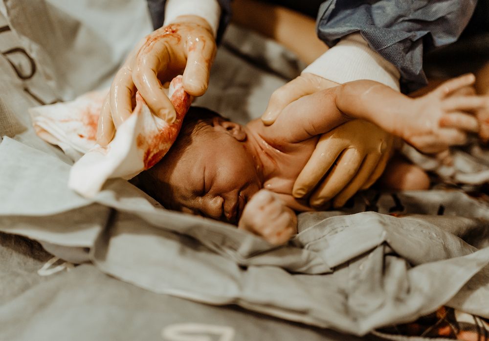 Photograph by Rachel Stern