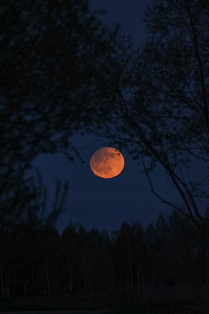 Photograph by Татьяна Гринько