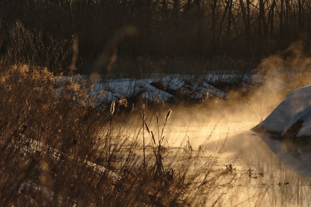 Photograph by Василий Арлашов