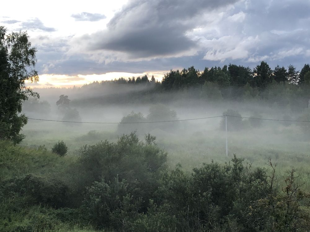 Photograph by Мария Бессмертная