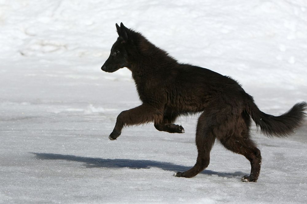 Фотография автора Надежда Лисицына