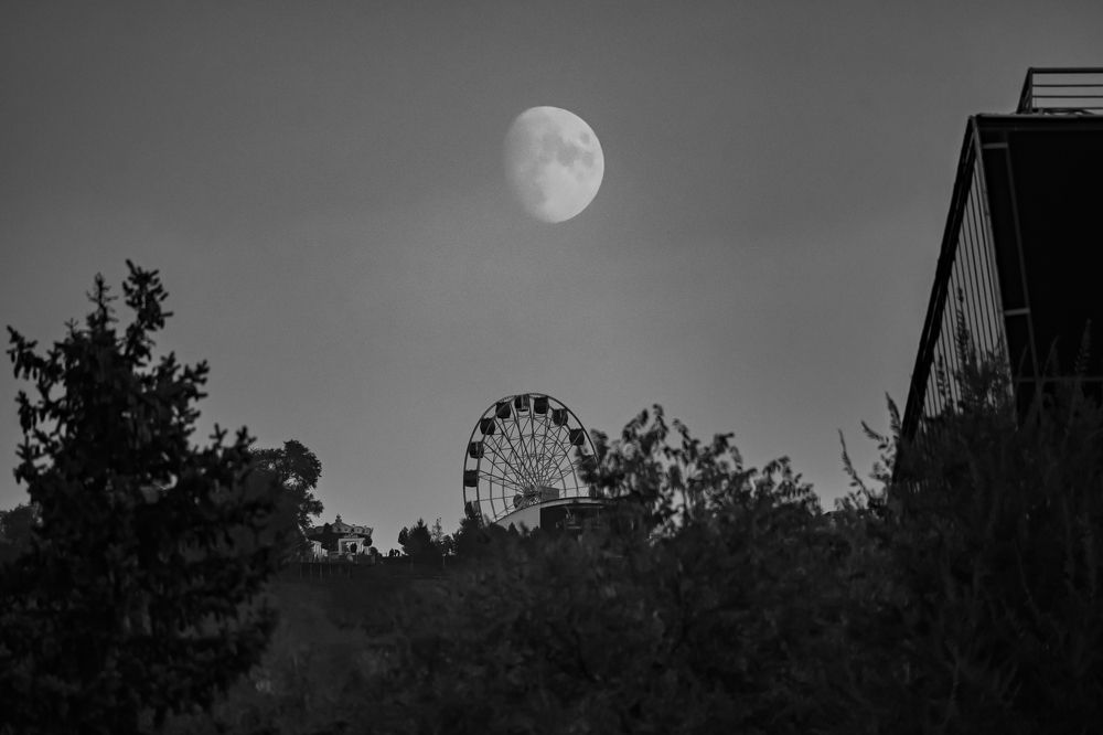 Photograph by Юлия Терехина