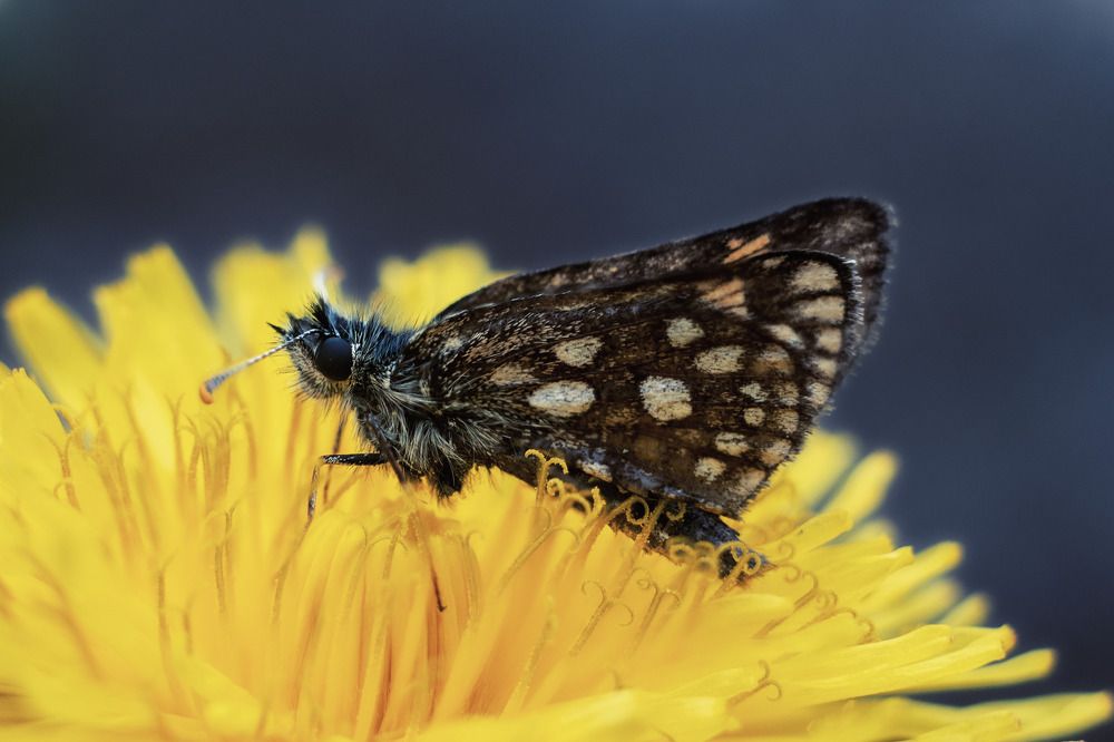 Photograph by Константин Власов