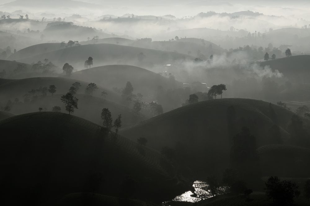 Photograph by Toàn Truong