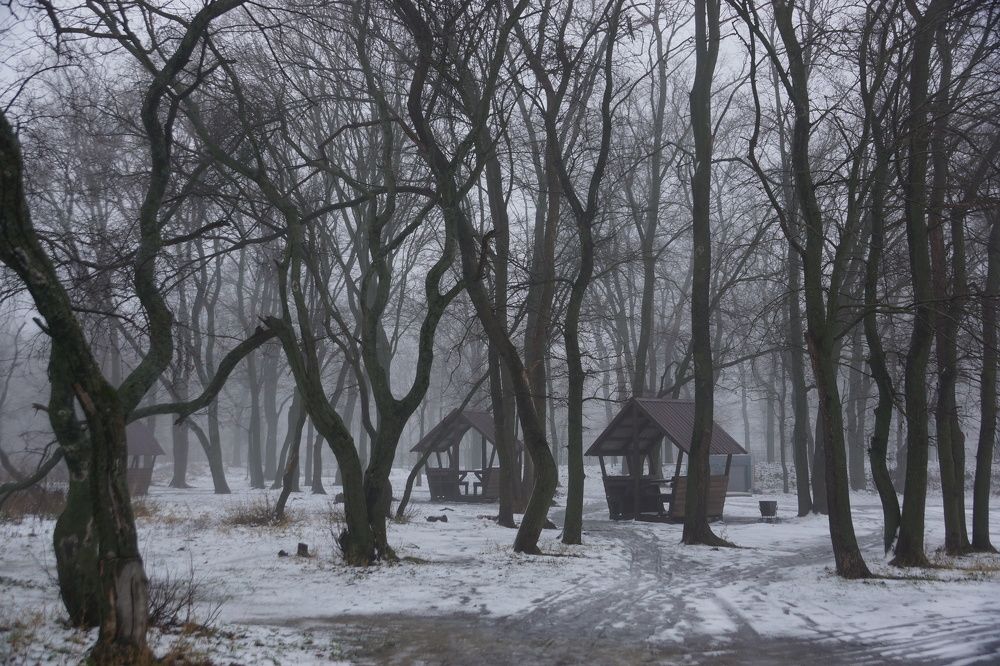 Photograph by Михаил Пасынков