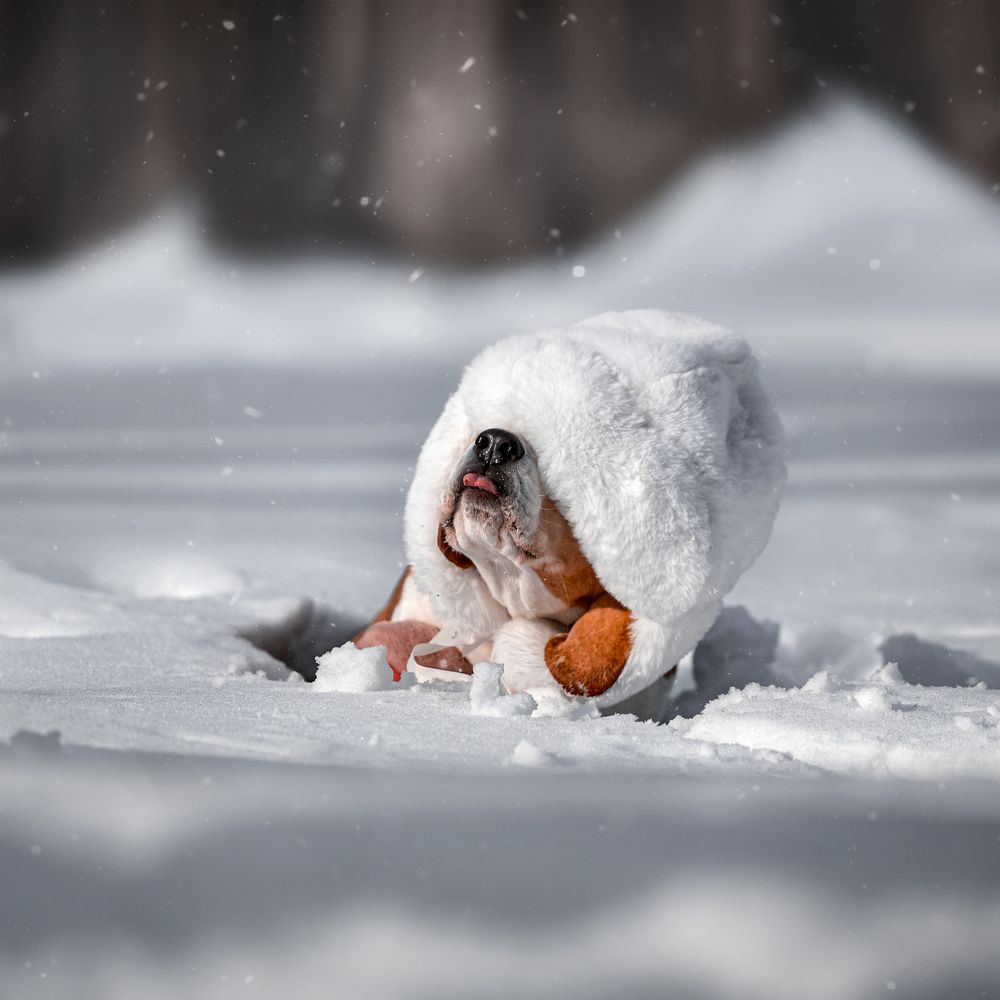 Фотография автора Ольга