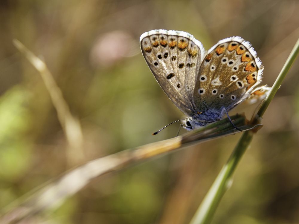 Photograph by Borsan Claudiu Valentin