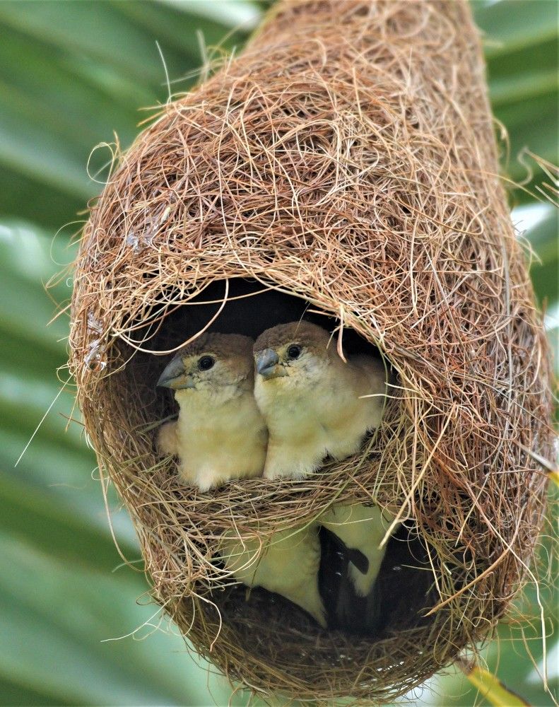 Photograph by Preet saluja