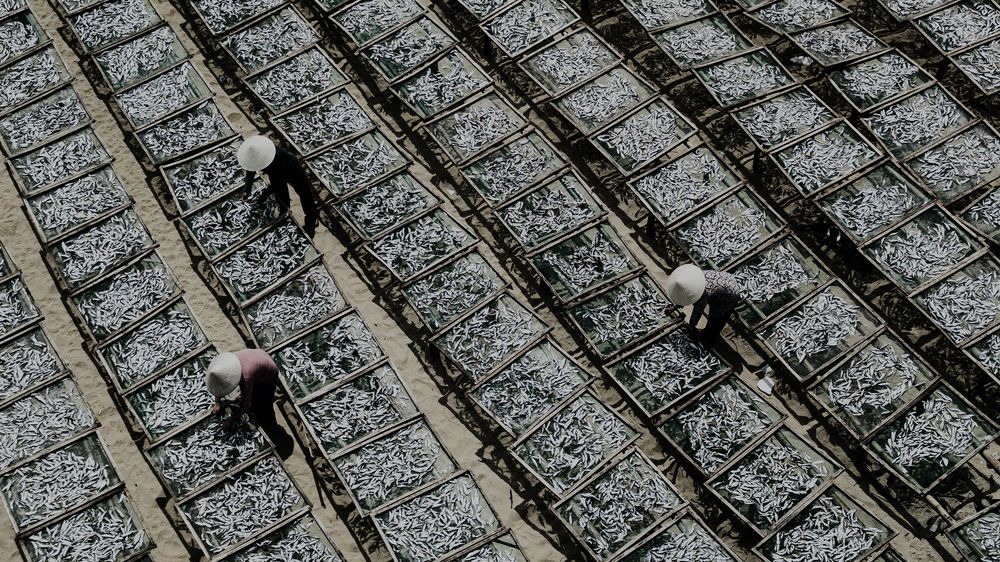 Photograph by Mr Thong