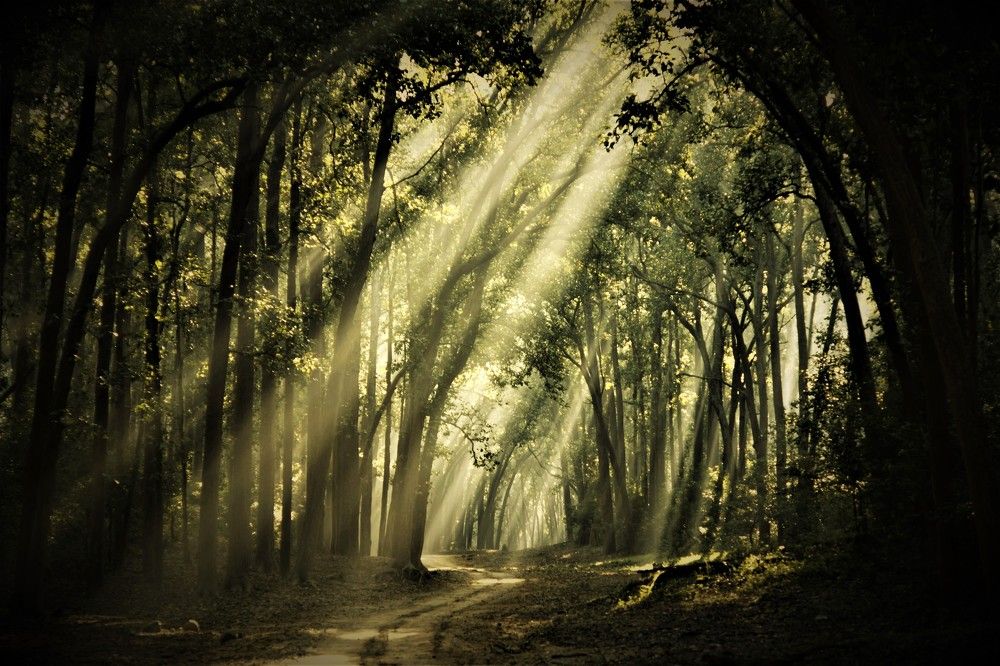 Photograph by Preet saluja