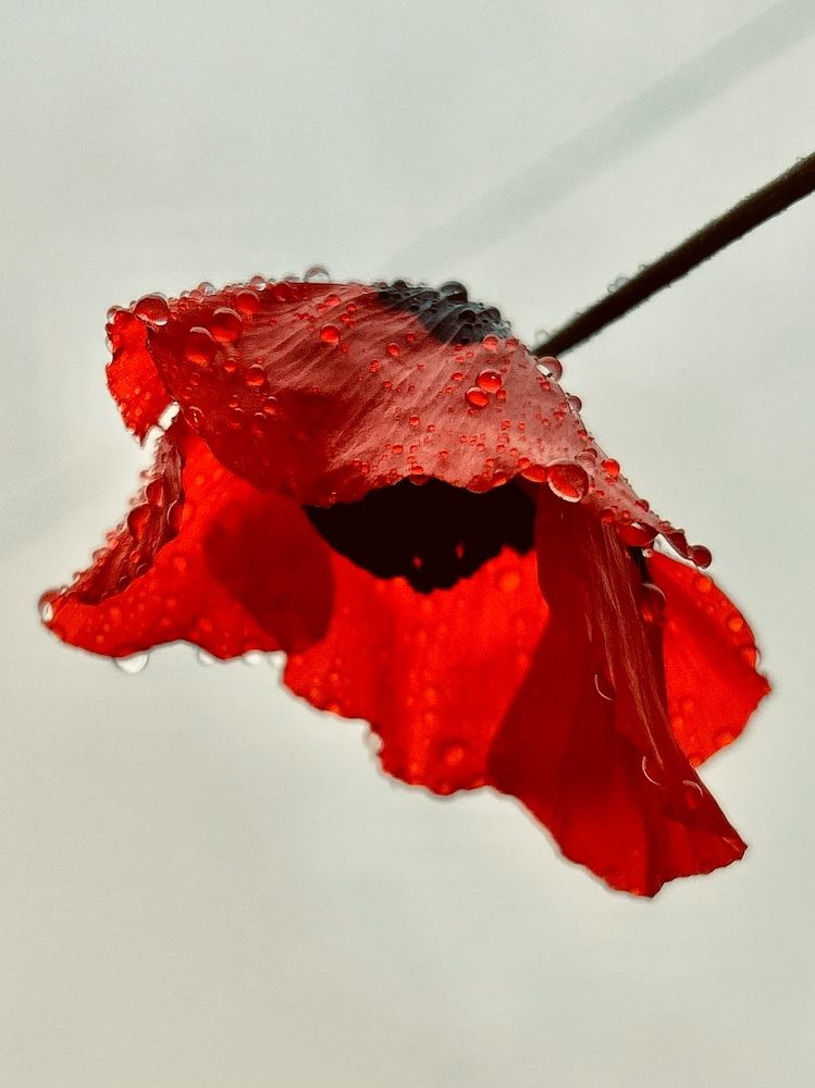 Фотография автора Nastasya Sablina