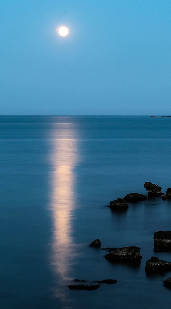 Photograph by Maria Cristina Artale