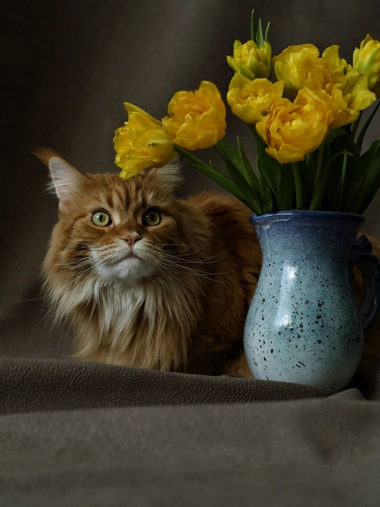 Photograph by Angelica Medvedeva