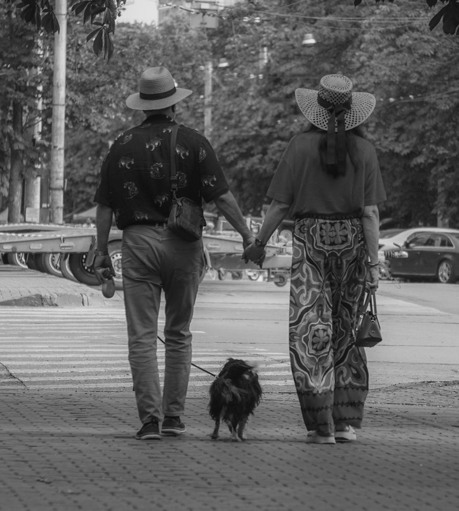 Photograph by George Catalin Serbu