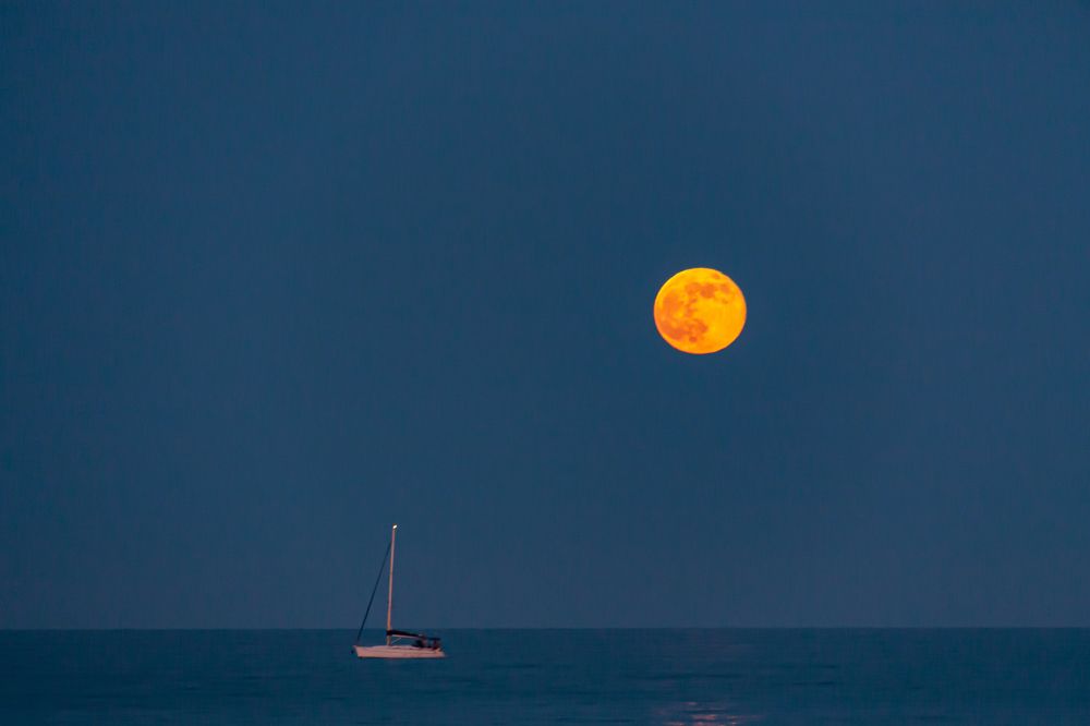 Photograph by Юлия Шурандина