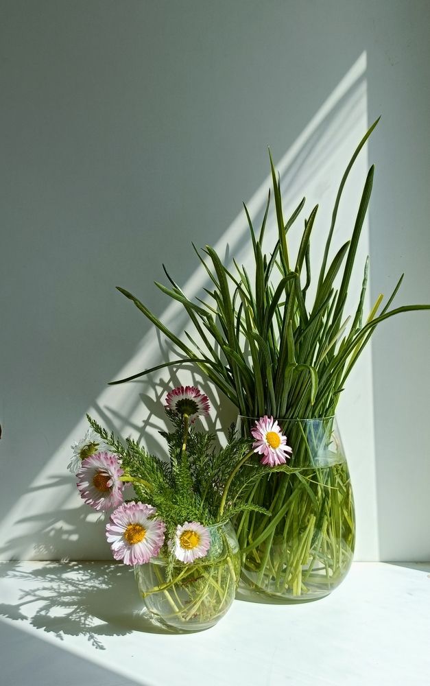 Фотография автора Татьяна Лукашева