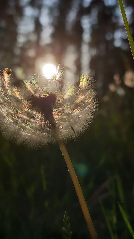Photograph by Анна Терейковская