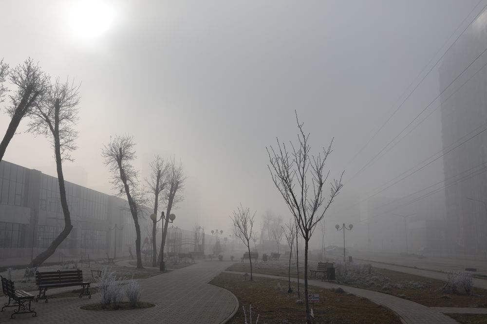 Photograph by Андрей Звездов