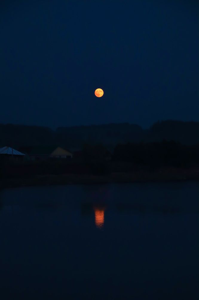 Photograph by Гуляева Светлана