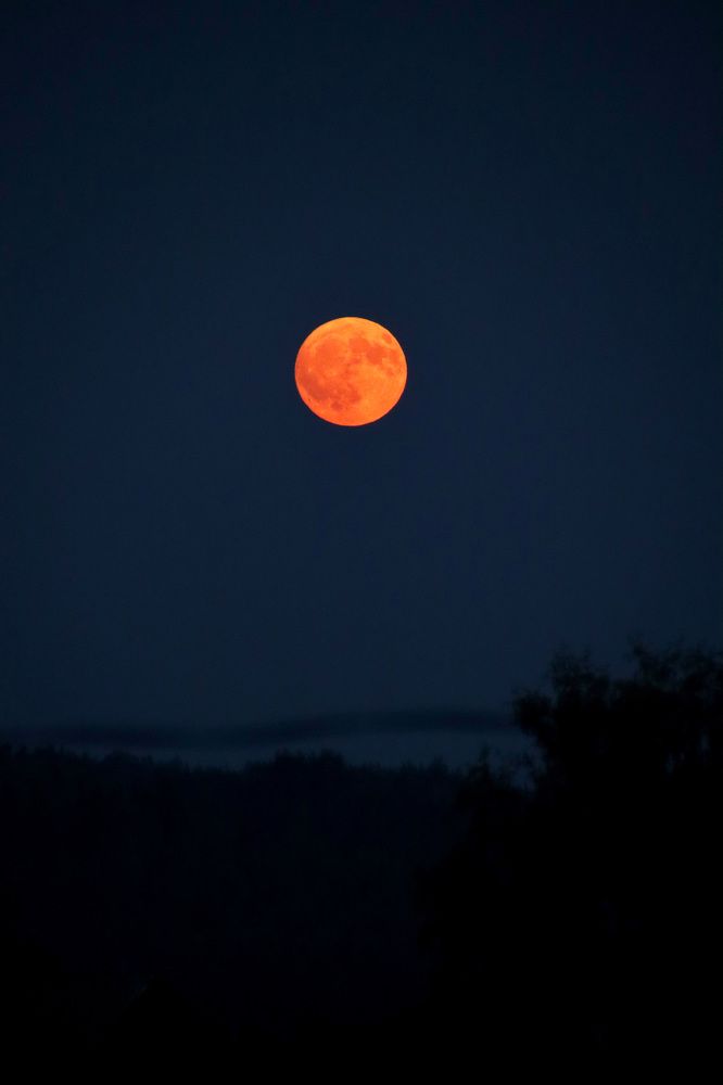 Photograph by Гуляева Светлана