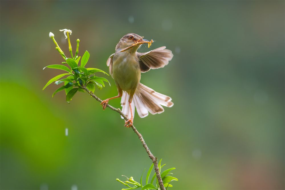 Фотография автора Toan Dinh