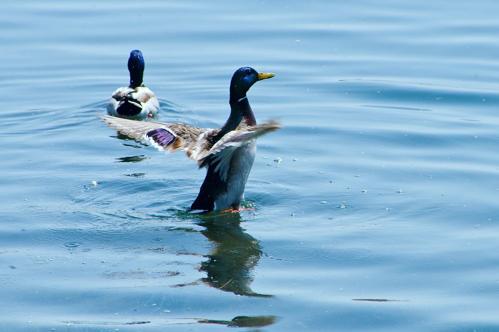 Photograph by Юрий Самойлов