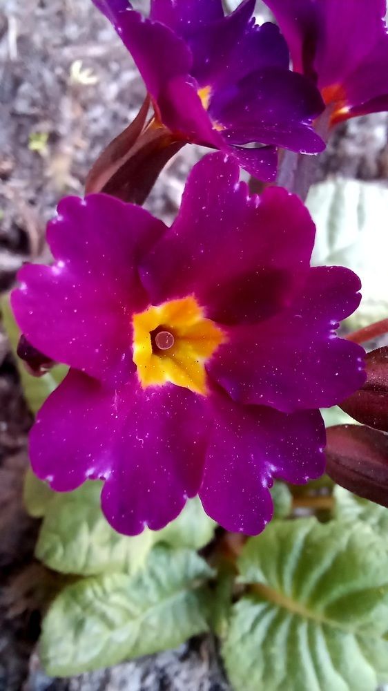 Photograph by Каковкина Ольга