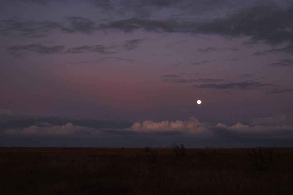 Photograph by Григорий Консевич