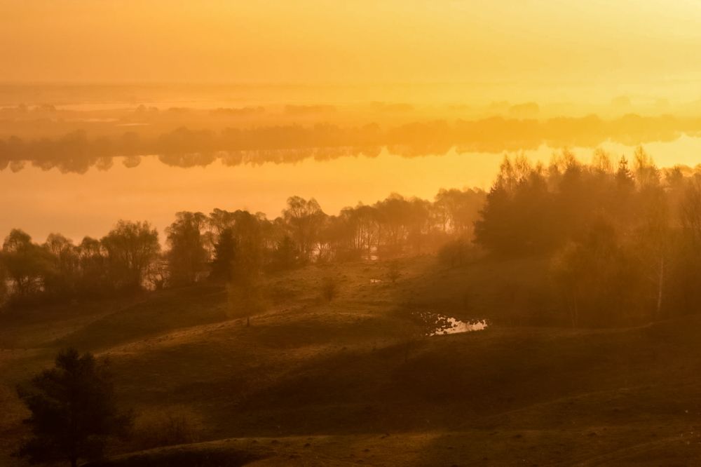 Photograph by Алена