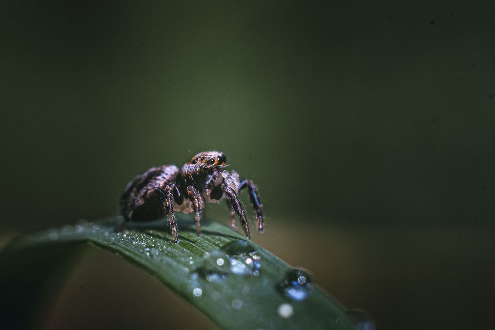 Photograph by Динара Зуйкова