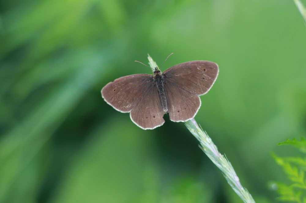 Photograph by Aleksey Maevskiy