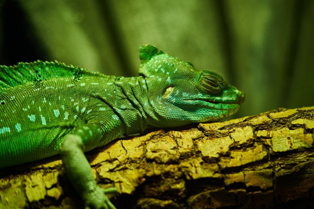 Photograph by Руфат Лажанский