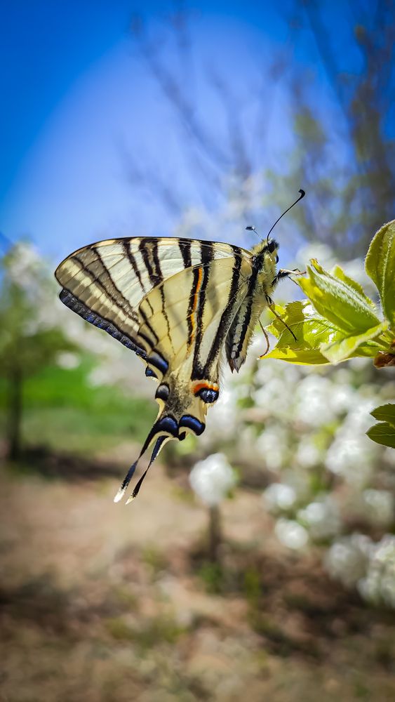 Photograph by Sherko Bahmani