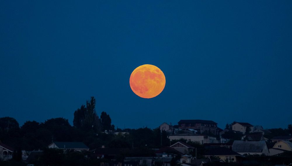 Photograph by Михаил Бояркин