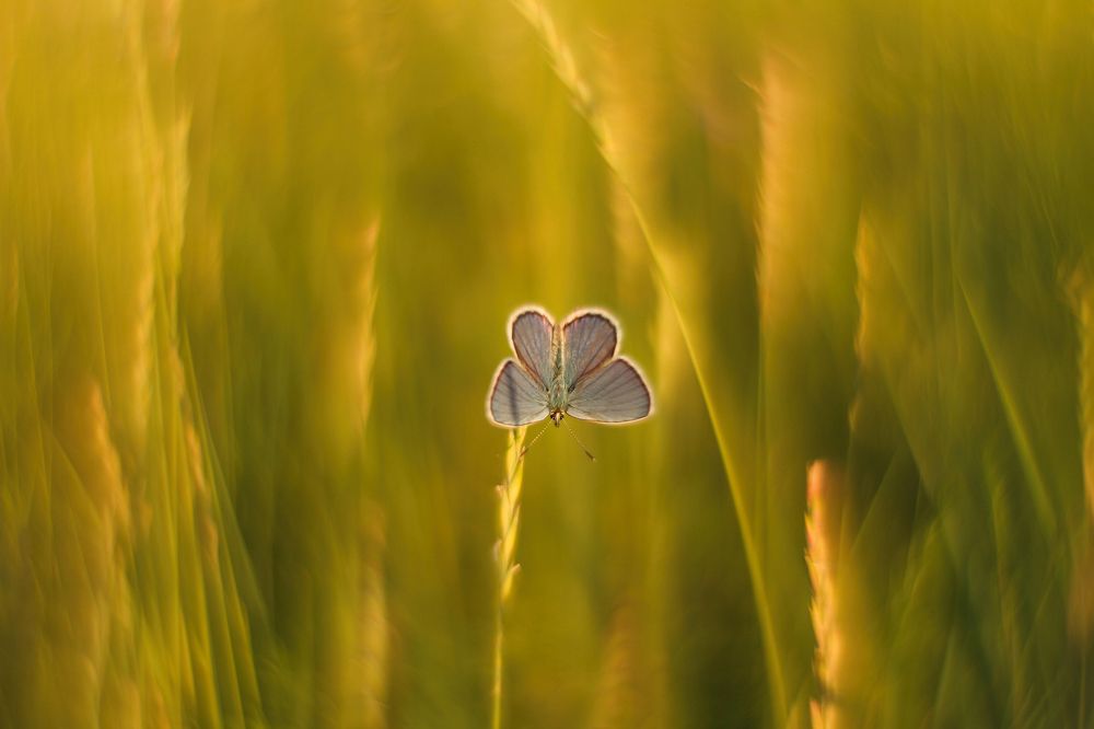 Photograph by Aleksey Maevskiy