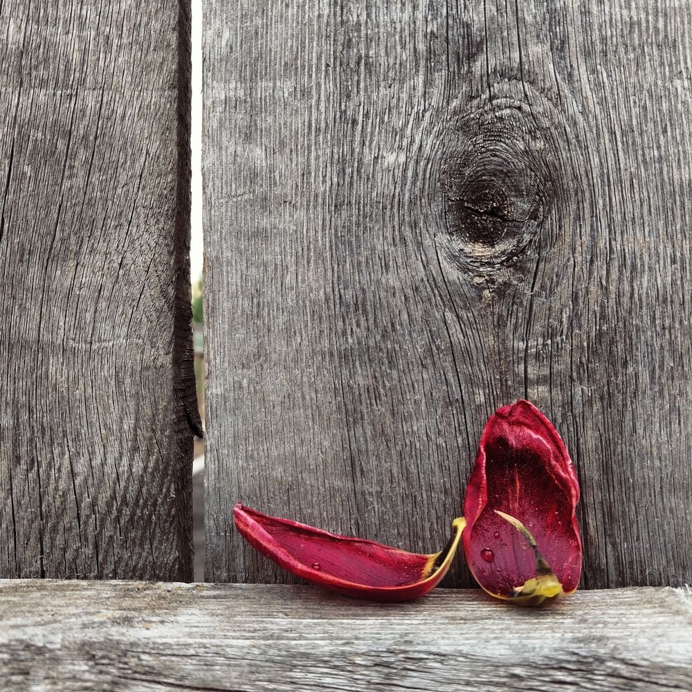 Photograph by Юлия Фирман