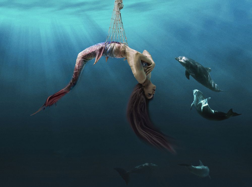 Photograph by Юлия Шестопалова