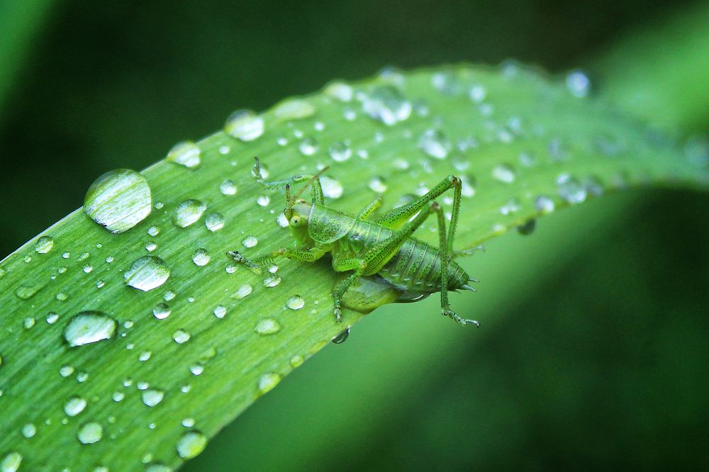 Photograph by Vitaliy Saposhnikov