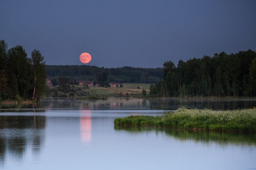 Photograph by Андрей Малыгин