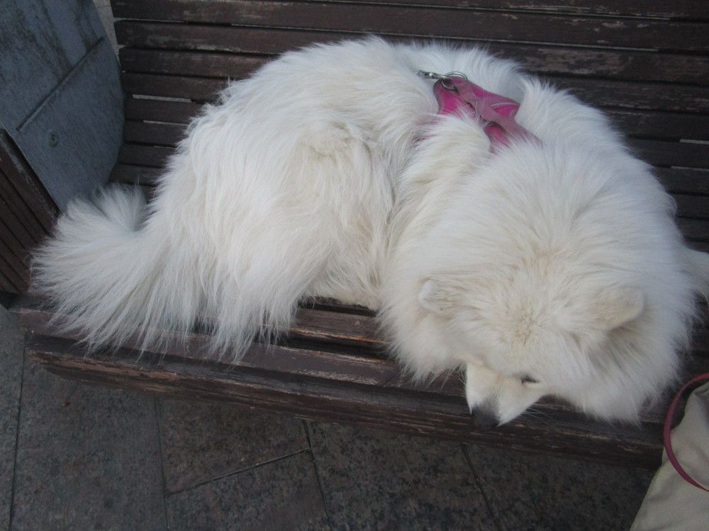 Photo #9203769