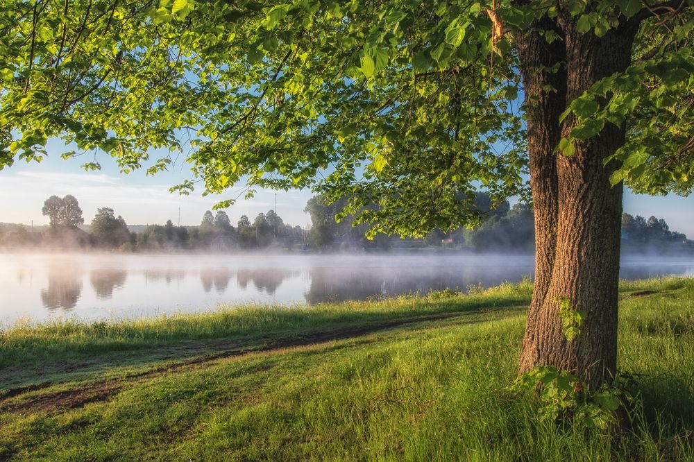 Photograph by Андрей Малыгин