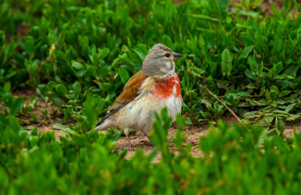 Photograph by Марина Фонарёва