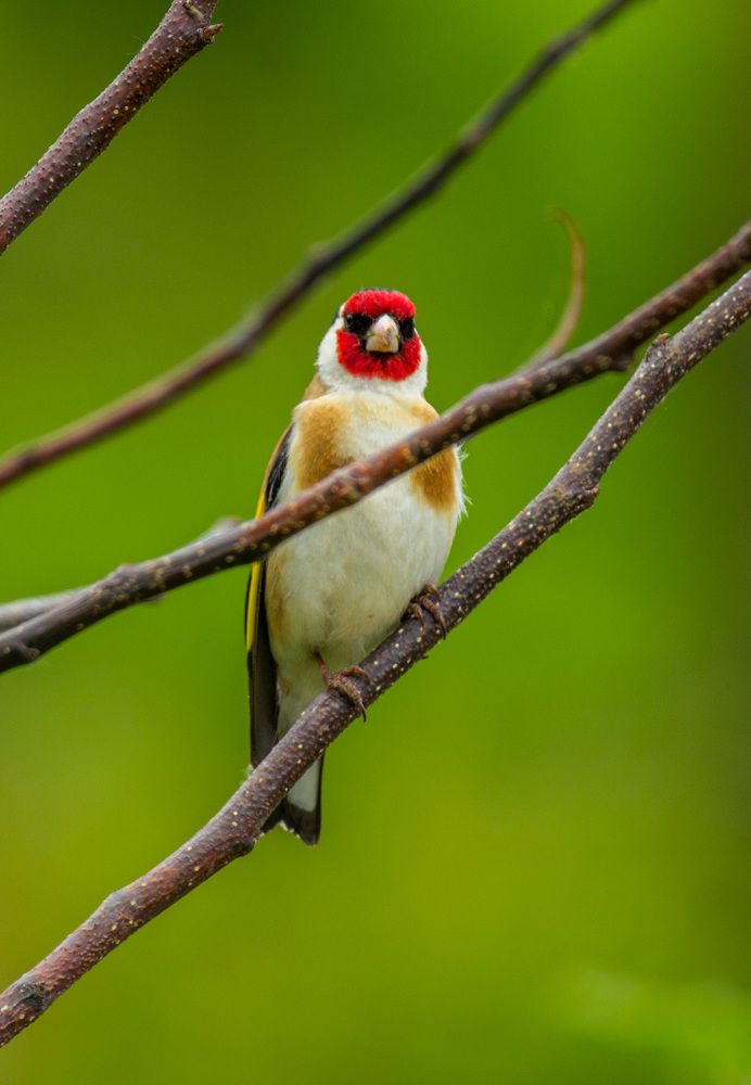 Photograph by Марина Фонарёва