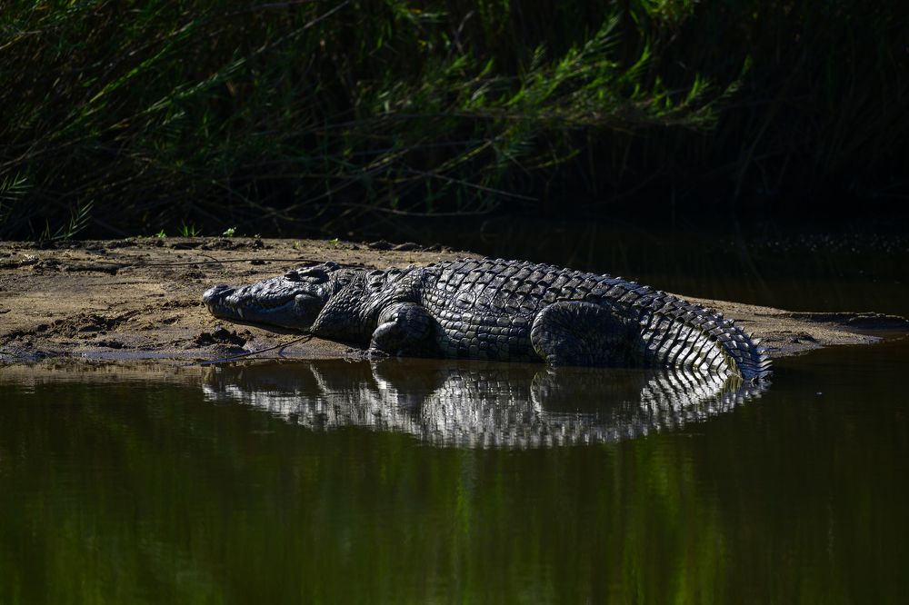 Photograph by Sergey Puponin