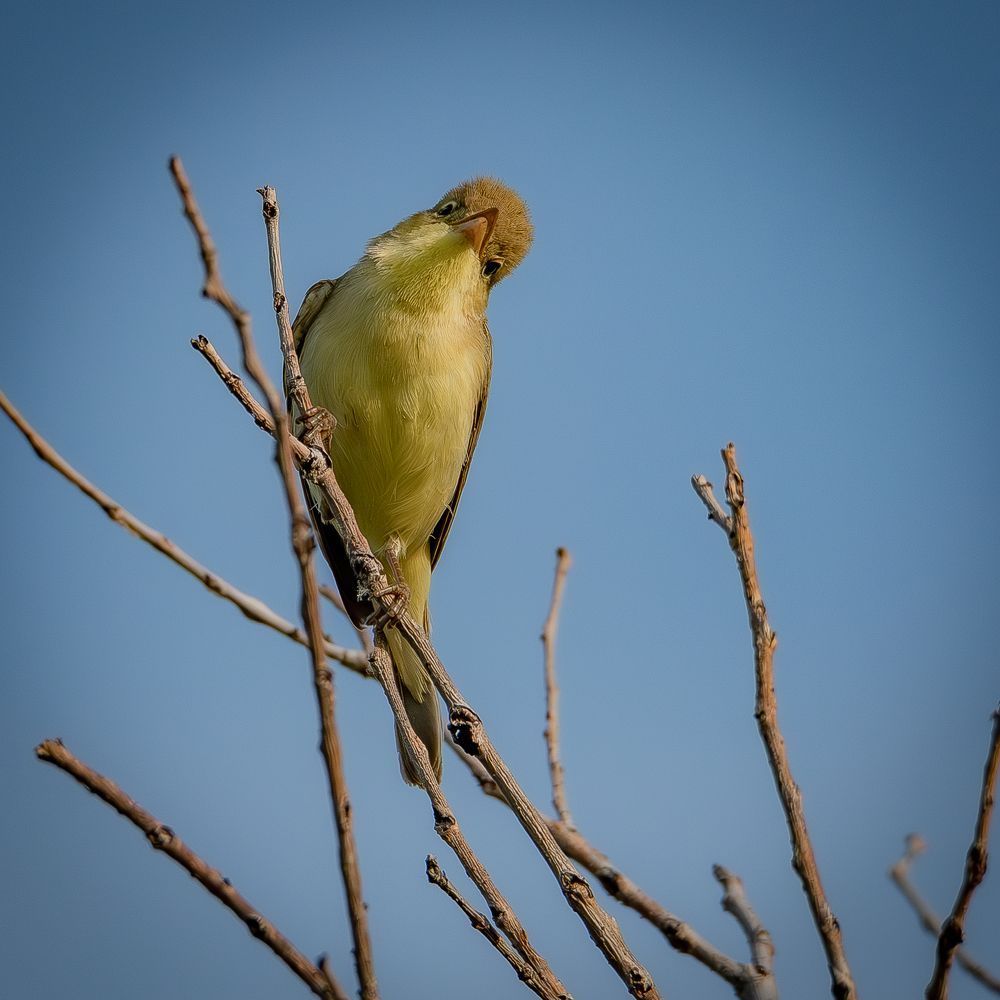 Photograph by Andrea Barlotti